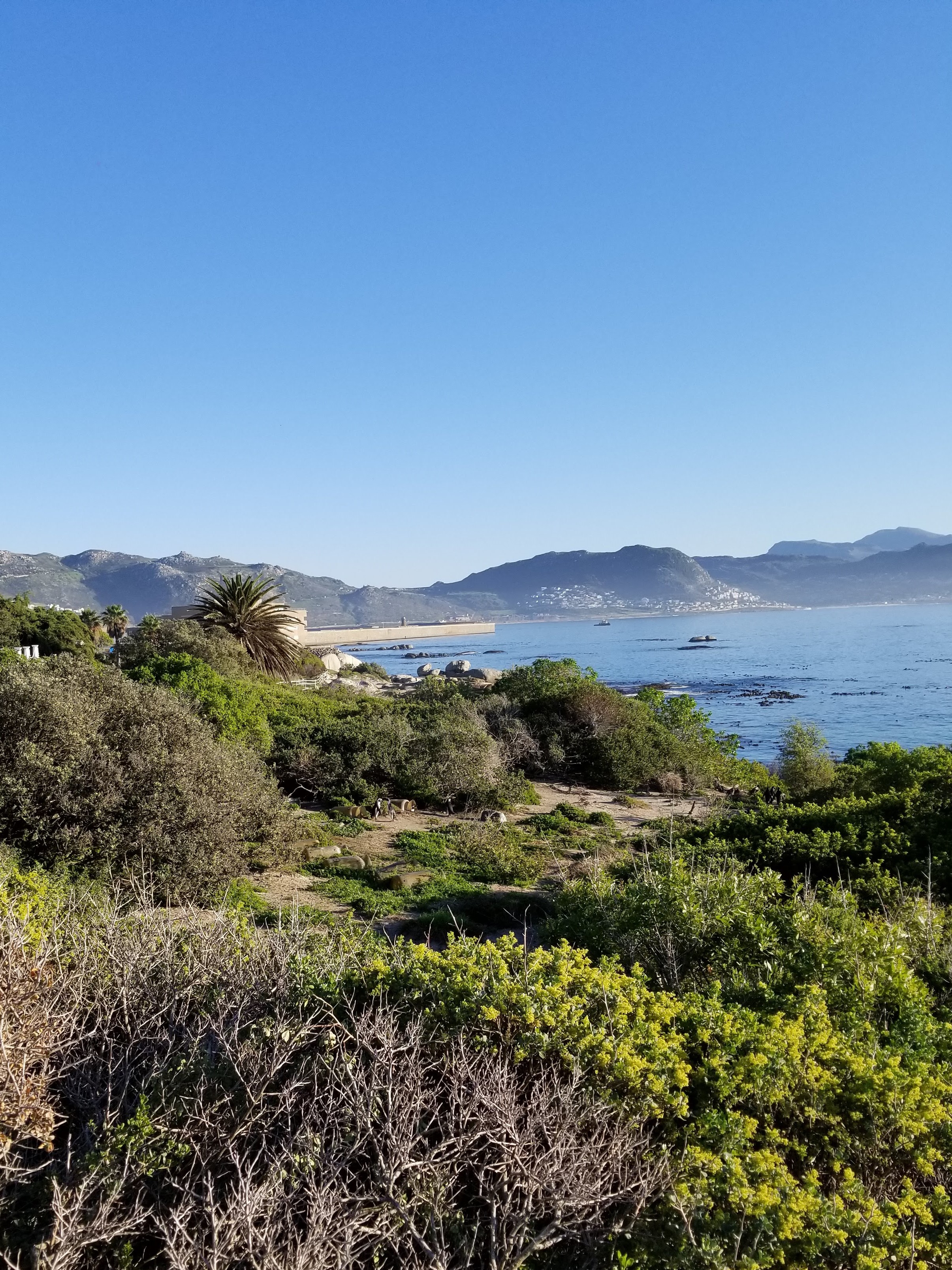 SimonsTownView_20180706