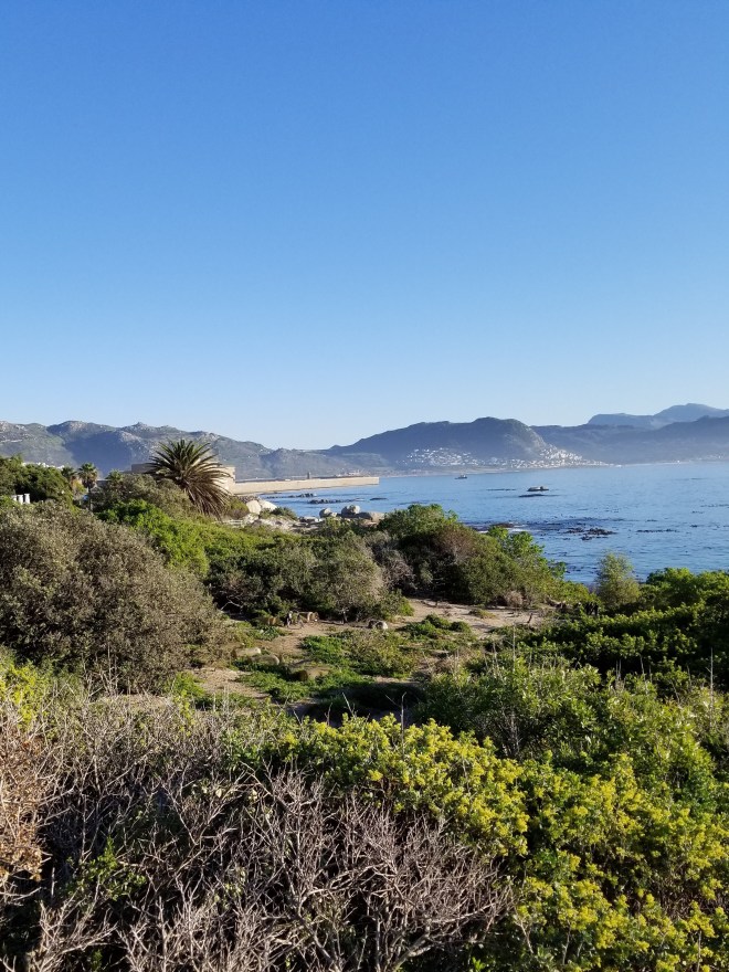 SimonsTownView_20180706