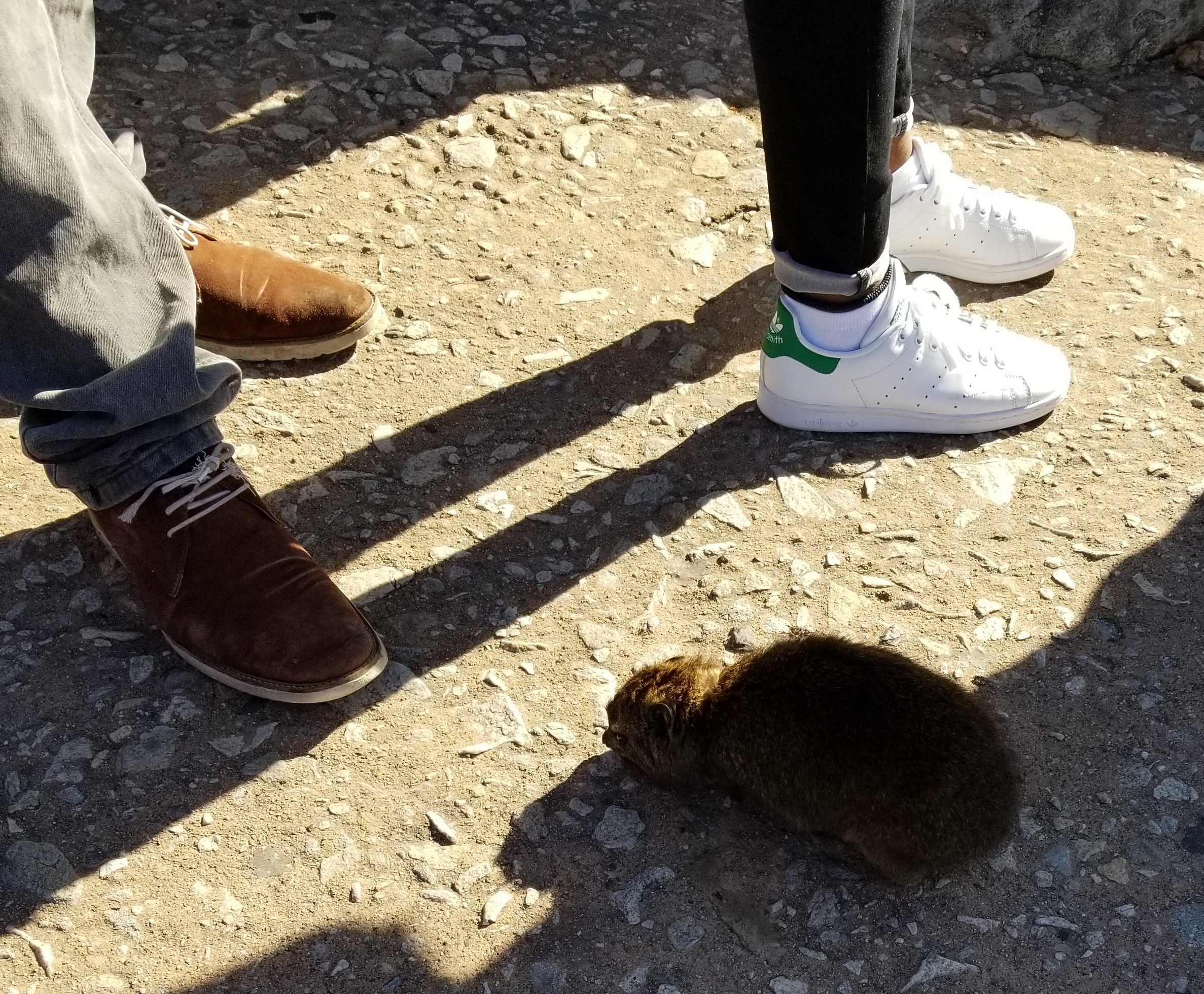 Wrong way little buddy!