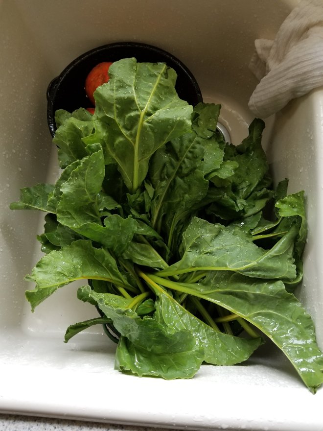 Rinse at least 3 times