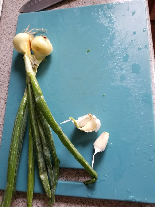 Season with spring onions and garlic